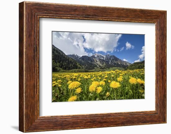 Spring Flowers and Green Meadows, Bregaglia Valley, Engadine-Roberto Moiola-Framed Photographic Print