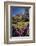 Spring Flowers and Historic Crown Mills Building, Dunedin, Otago, South Island, New Zealand-David Wall-Framed Photographic Print