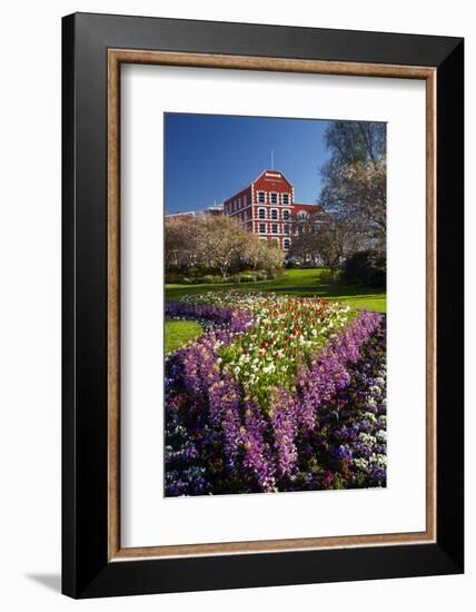 Spring Flowers and Historic Crown Mills Building, Dunedin, Otago, South Island, New Zealand-David Wall-Framed Photographic Print