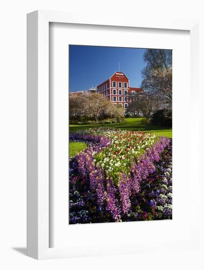 Spring Flowers and Historic Crown Mills Building, Dunedin, Otago, South Island, New Zealand-David Wall-Framed Photographic Print