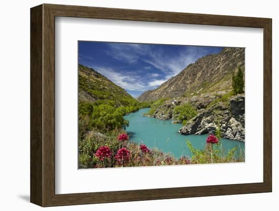 Spring Flowers and Kawarau River, Kararau Gorge, Central Otago, South Island, New Zealand-David Wall-Framed Photographic Print