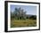 Spring Flowers and Olive Trees on Lower Troodos Slopes Near Arsos, Cyprus-Michael Short-Framed Photographic Print