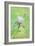 Spring Flowers III-Maria Rytova-Framed Giclee Print