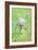 Spring Flowers III-Maria Rytova-Framed Giclee Print