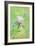 Spring Flowers III-Maria Rytova-Framed Giclee Print