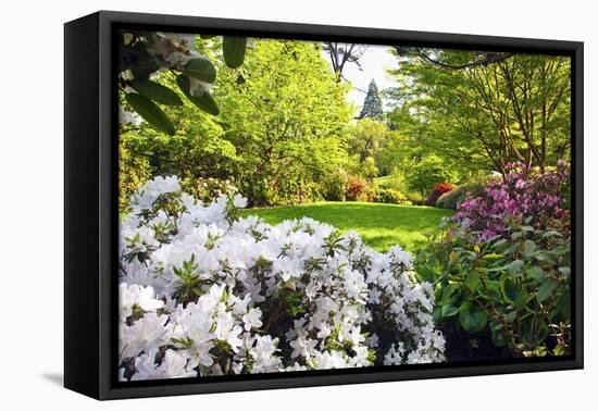 Spring Flowers in Crystal Springs Rhododendron Garden, Portland, Oregon, USA-Craig Tuttle-Framed Premier Image Canvas