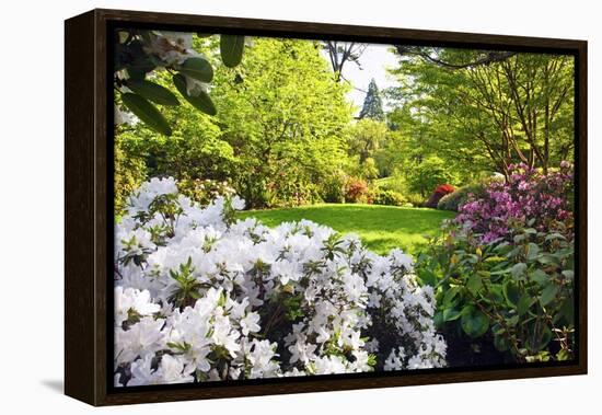 Spring Flowers in Crystal Springs Rhododendron Garden, Portland, Oregon, USA-Craig Tuttle-Framed Premier Image Canvas