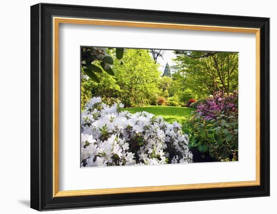 Spring Flowers in Crystal Springs Rhododendron Garden, Portland, Oregon, USA-Craig Tuttle-Framed Photographic Print