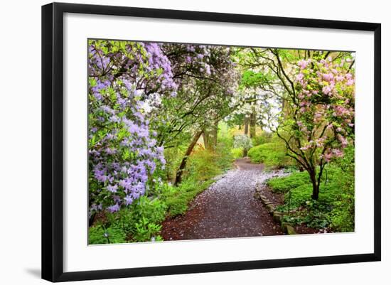 Spring Flowers in Crystal Springs Rhododendron Garden, Portland, Oregon, USA-Craig Tuttle-Framed Photographic Print