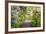 Spring Flowers in Crystal Springs Rhododendron Garden, Portland, Oregon, USA-Craig Tuttle-Framed Photographic Print