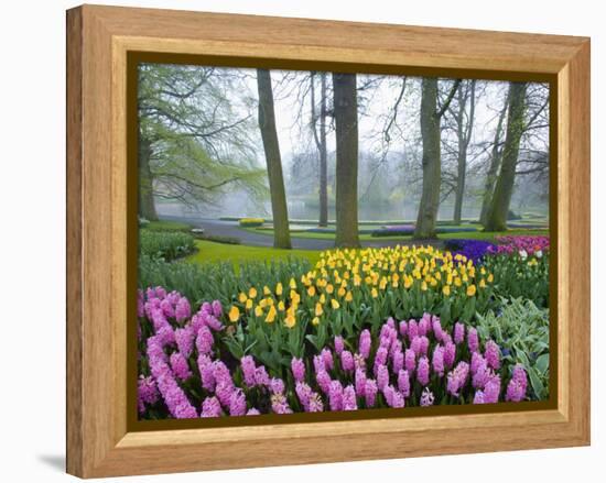 Spring Flowers in Flower Garden-Jim Zuckerman-Framed Premier Image Canvas