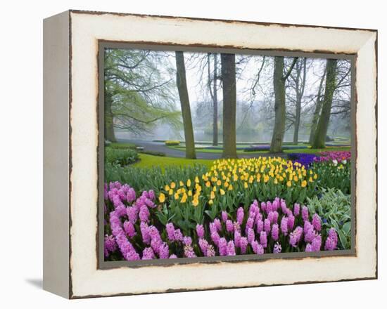 Spring Flowers in Flower Garden-Jim Zuckerman-Framed Premier Image Canvas