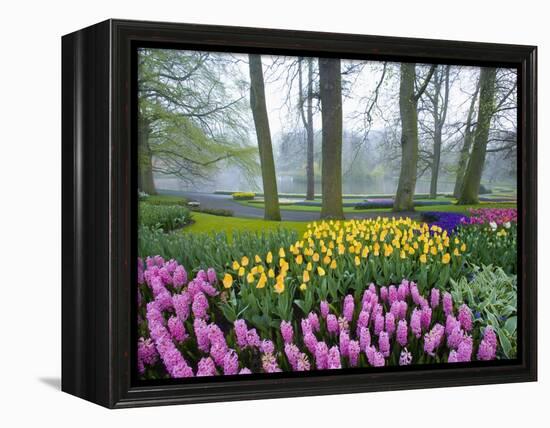 Spring Flowers in Flower Garden-Jim Zuckerman-Framed Premier Image Canvas