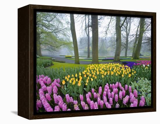 Spring Flowers in Flower Garden-Jim Zuckerman-Framed Premier Image Canvas