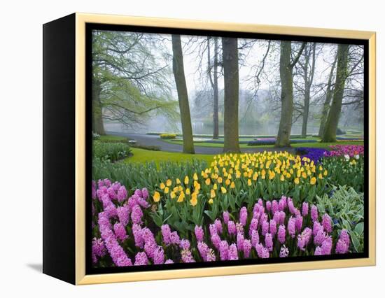 Spring Flowers in Flower Garden-Jim Zuckerman-Framed Premier Image Canvas