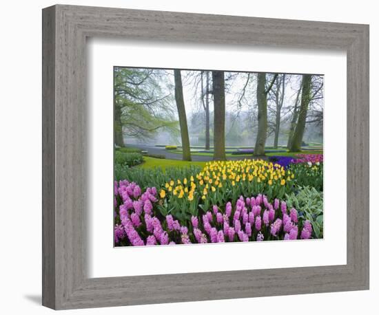 Spring Flowers in Flower Garden-Jim Zuckerman-Framed Photographic Print