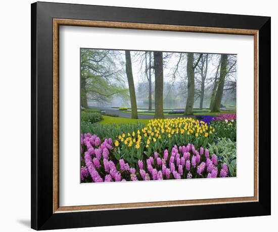 Spring Flowers in Flower Garden-Jim Zuckerman-Framed Photographic Print