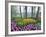 Spring Flowers in Flower Garden-Jim Zuckerman-Framed Photographic Print