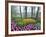 Spring Flowers in Flower Garden-Jim Zuckerman-Framed Photographic Print