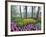 Spring Flowers in Flower Garden-Jim Zuckerman-Framed Photographic Print