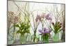 Spring Flowers in Glass Bottles III-Cora Niele-Mounted Giclee Print