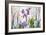 Spring Flowers in Glass Bottles VIII-Cora Niele-Framed Giclee Print