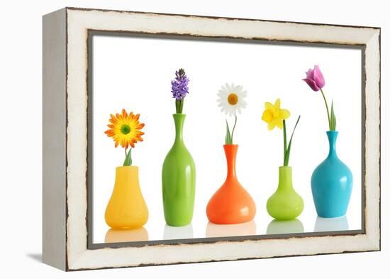 Spring Flowers In Vases Isolated On White-Acik-Framed Stretched Canvas