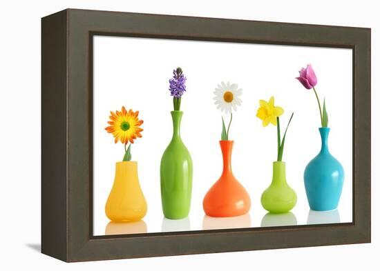 Spring Flowers In Vases Isolated On White-Acik-Framed Stretched Canvas