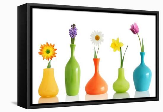 Spring Flowers In Vases Isolated On White-Acik-Framed Stretched Canvas