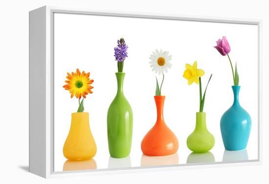 Spring Flowers In Vases Isolated On White-Acik-Framed Stretched Canvas