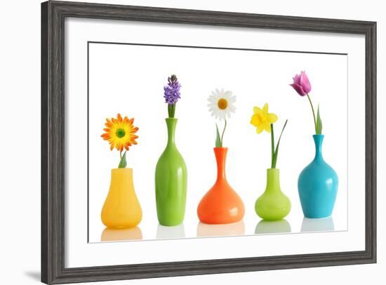 Spring Flowers In Vases Isolated On White-Acik-Framed Premium Giclee Print