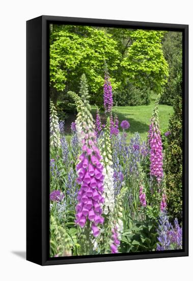 Spring Flowers, Kennett Square, Pennsylvania, Usa-Lisa S. Engelbrecht-Framed Premier Image Canvas