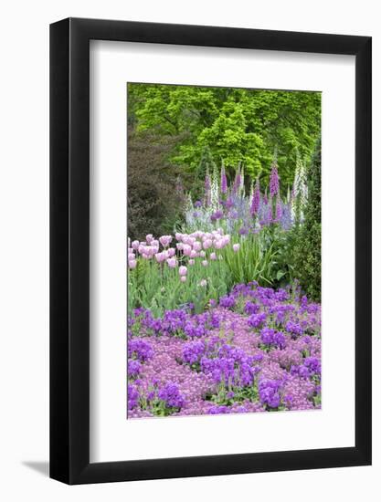 Spring Flowers, Kennett Square, Pennsylvania, Usa-Lisa S. Engelbrecht-Framed Photographic Print