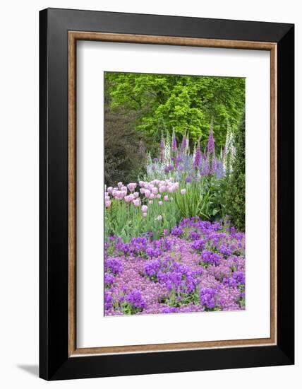 Spring Flowers, Kennett Square, Pennsylvania, Usa-Lisa S. Engelbrecht-Framed Photographic Print