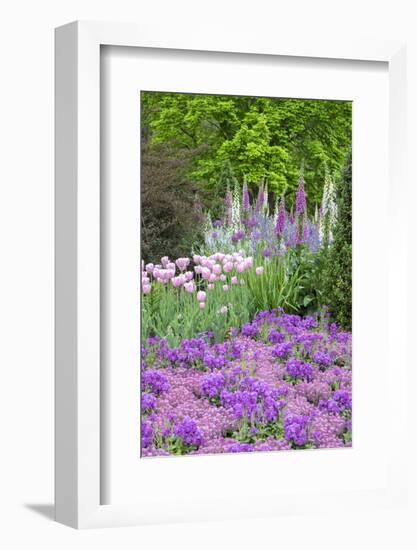 Spring Flowers, Kennett Square, Pennsylvania, Usa-Lisa S. Engelbrecht-Framed Photographic Print