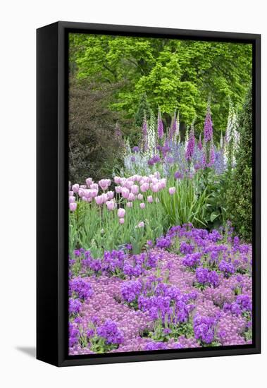 Spring Flowers, Kennett Square, Pennsylvania, Usa-Lisa S. Engelbrecht-Framed Premier Image Canvas