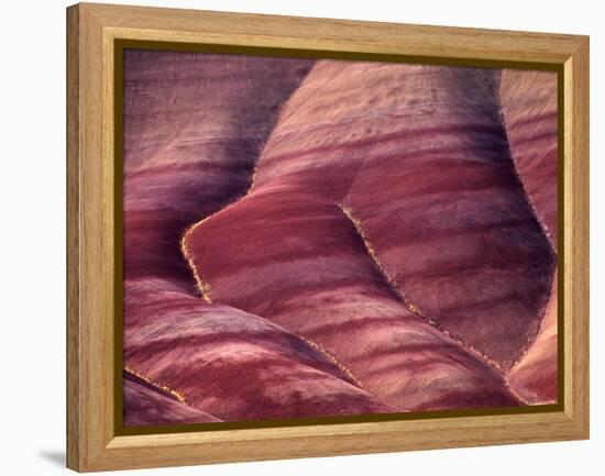 Spring Flowers Line the Gullies, John Day Fossil Beds National Monument, Painted Hills, Oregon, USA-Charles Sleicher-Framed Premier Image Canvas