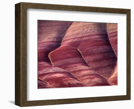 Spring Flowers Line the Gullies, John Day Fossil Beds National Monument, Painted Hills, Oregon, USA-Charles Sleicher-Framed Photographic Print