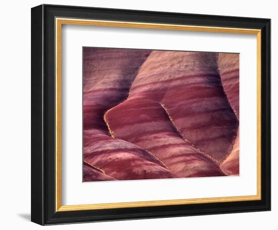 Spring Flowers Line the Gullies, John Day Fossil Beds National Monument, Painted Hills, Oregon, USA-Charles Sleicher-Framed Photographic Print