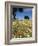 Spring Flowers, Majorca, Balearic Islands, Spain, Europe-John Miller-Framed Photographic Print