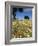 Spring Flowers, Majorca, Balearic Islands, Spain, Europe-John Miller-Framed Photographic Print