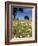 Spring Flowers, Majorca, Balearic Islands, Spain, Europe-John Miller-Framed Photographic Print