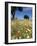 Spring Flowers, Majorca, Balearic Islands, Spain, Europe-John Miller-Framed Photographic Print