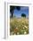 Spring Flowers, Majorca, Balearic Islands, Spain, Europe-John Miller-Framed Photographic Print