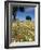 Spring Flowers, Majorca, Balearic Islands, Spain, Europe-John Miller-Framed Photographic Print