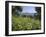 Spring Flowers, White Mountains (Lefka Ori), Chania Region, Crete, Greek Islands, Greece, Europe-Stuart Black-Framed Photographic Print