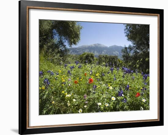 Spring Flowers, White Mountains (Lefka Ori), Chania Region, Crete, Greek Islands, Greece, Europe-Stuart Black-Framed Photographic Print