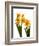 Spring Flowers-Abdul Kadir Audah-Framed Photographic Print