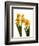 Spring Flowers-Abdul Kadir Audah-Framed Photographic Print