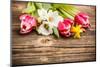 Spring Flowers-grafvision-Mounted Photographic Print